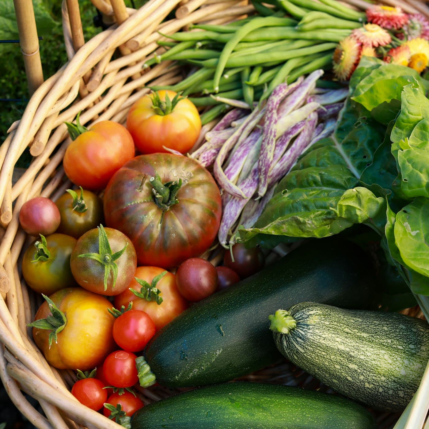 Korb mit frischen Tomaten, Auberginen, Zucchini und Kräutern